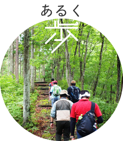 クワオルト健康ウォーキング