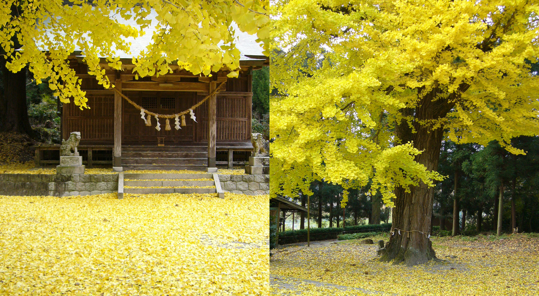 子どもの居場所づくり